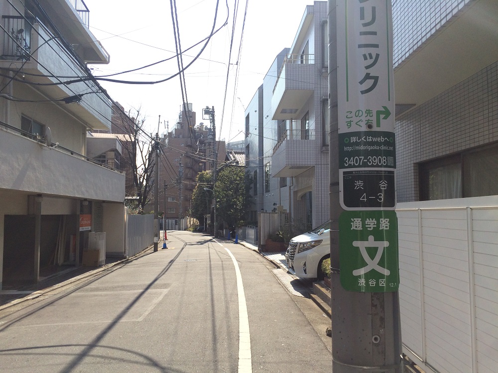 グランドメゾン表参道_渋谷4丁目の住宅地